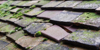 Great Glen roof repair costs